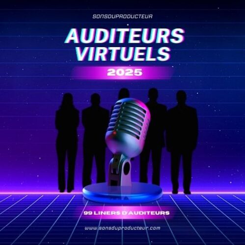 Auditeurs Virtuels 2025